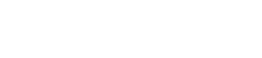 Roche Bros logo