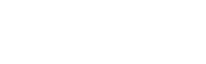 The Computer Company logo