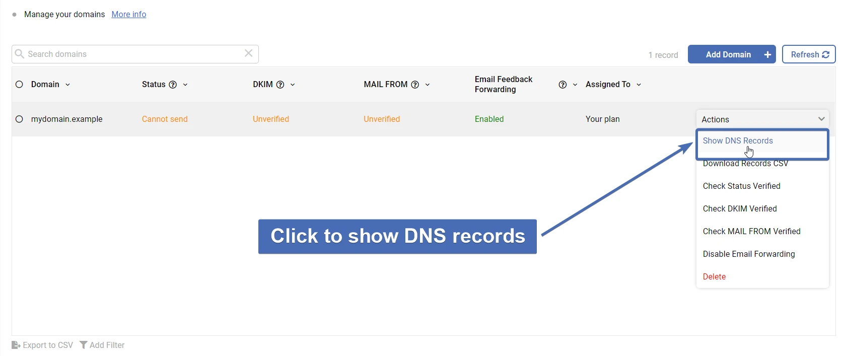 Showing your domain's DNS records