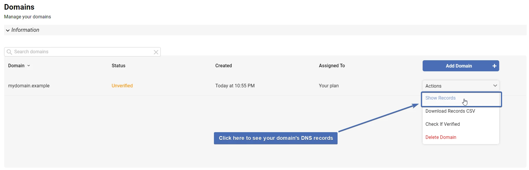 Showing the domain's DNS records