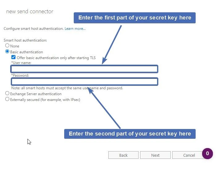 Setting the smart host authentication